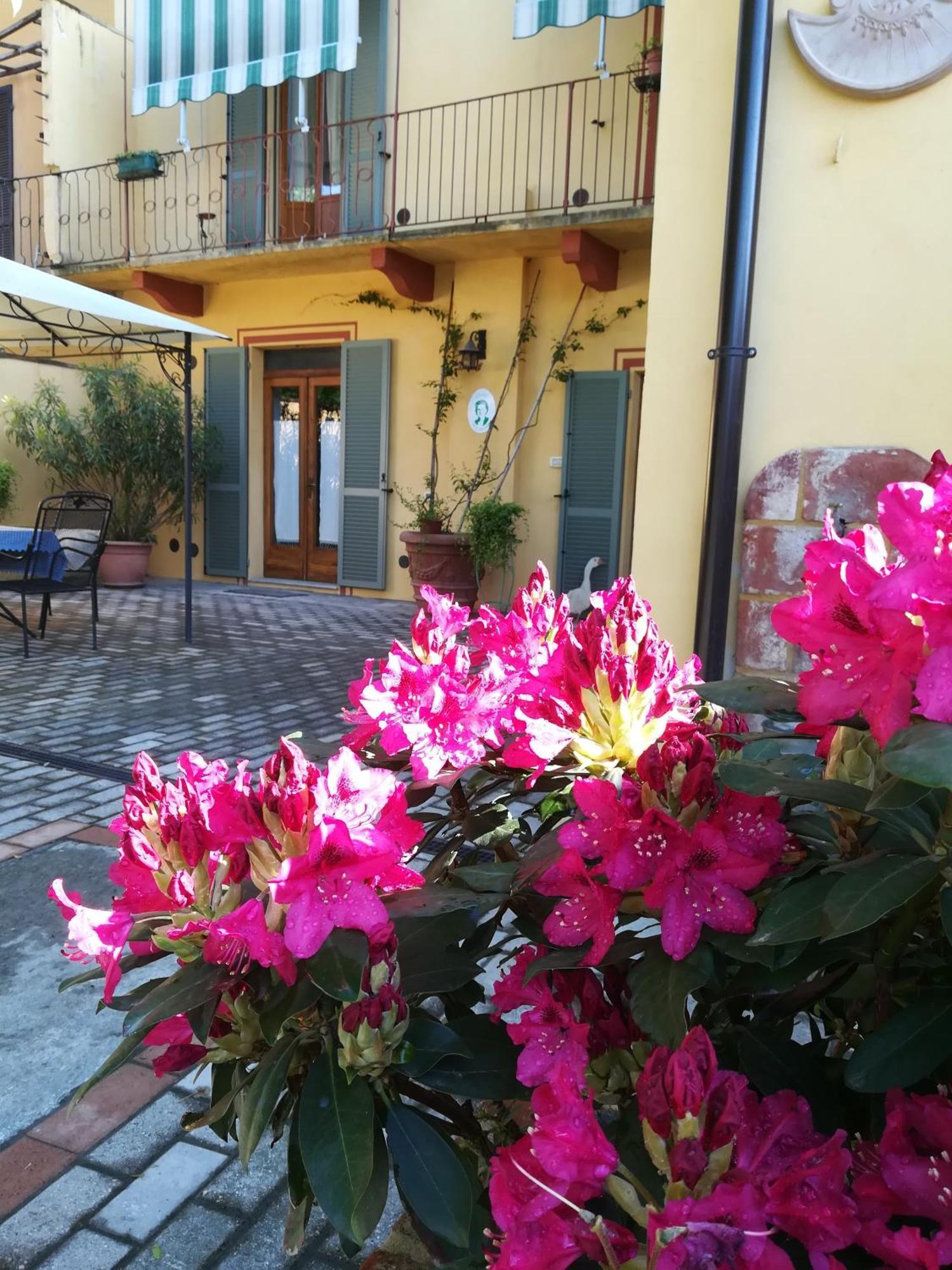 Occimiano L'Adele Bed & Breakfast מראה חיצוני תמונה