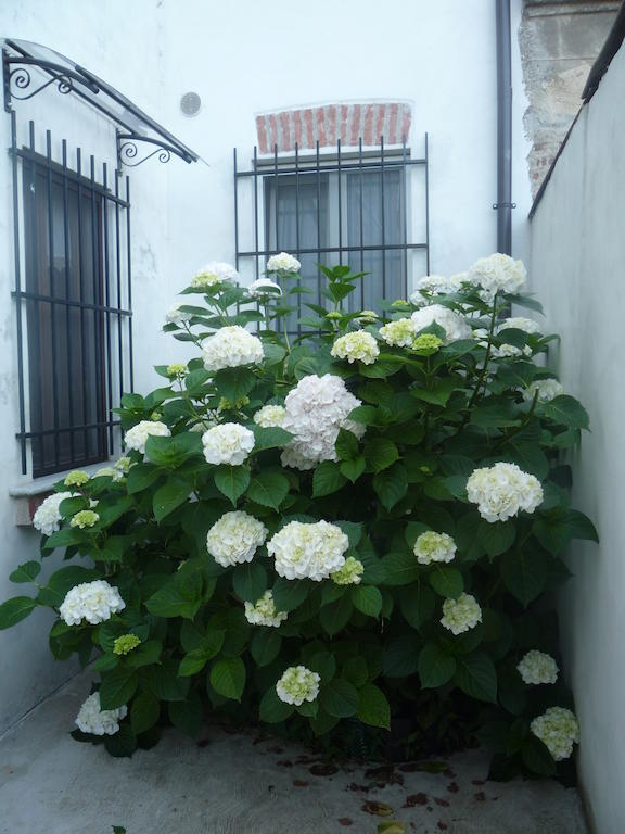 Occimiano L'Adele Bed & Breakfast מראה חיצוני תמונה