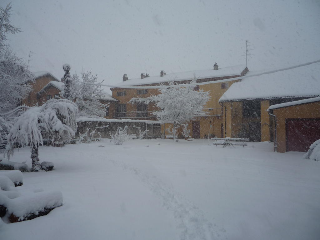 Occimiano L'Adele Bed & Breakfast מראה חיצוני תמונה