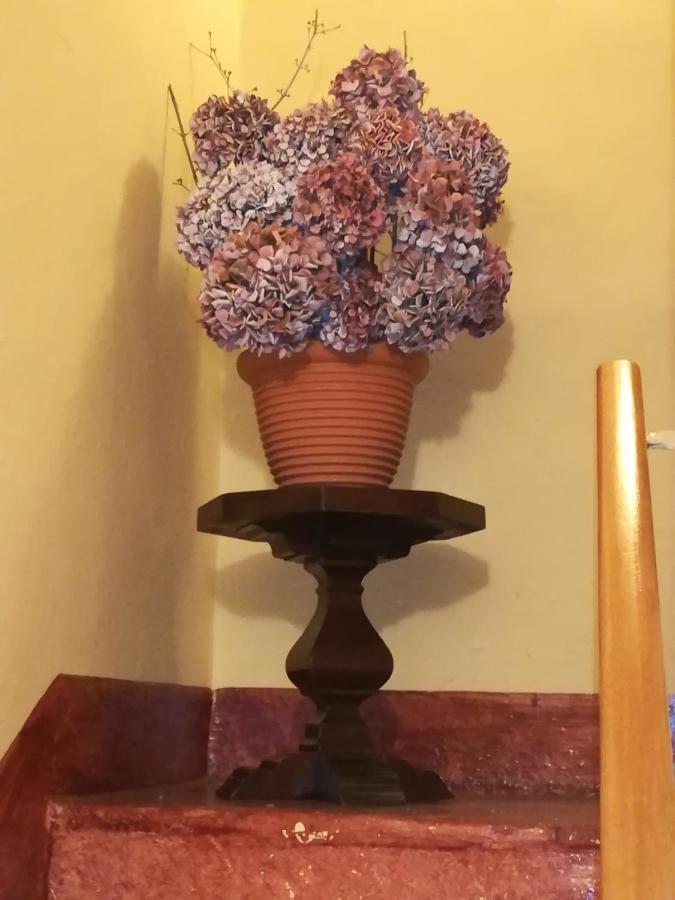 Occimiano L'Adele Bed & Breakfast מראה חיצוני תמונה